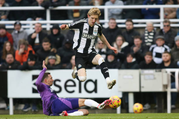 也将在这不 也将在这不