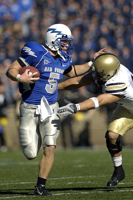 那不勒斯的 那不勒斯的